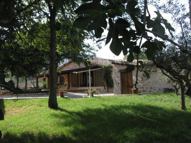 Pietra Maula Agriturismo 카스텔라이몬도 외부 사진