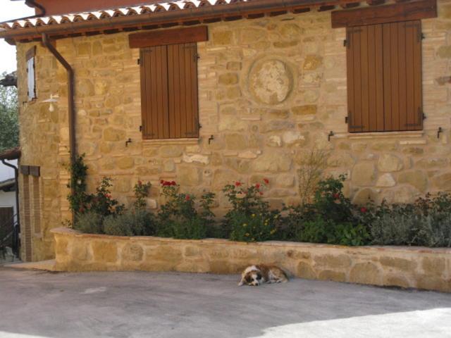 Pietra Maula Agriturismo 카스텔라이몬도 외부 사진