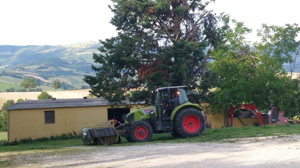 Pietra Maula Agriturismo 카스텔라이몬도 외부 사진