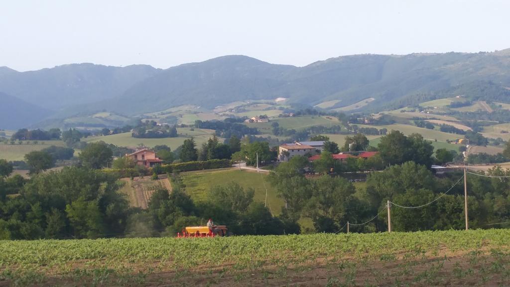 Pietra Maula Agriturismo 카스텔라이몬도 외부 사진
