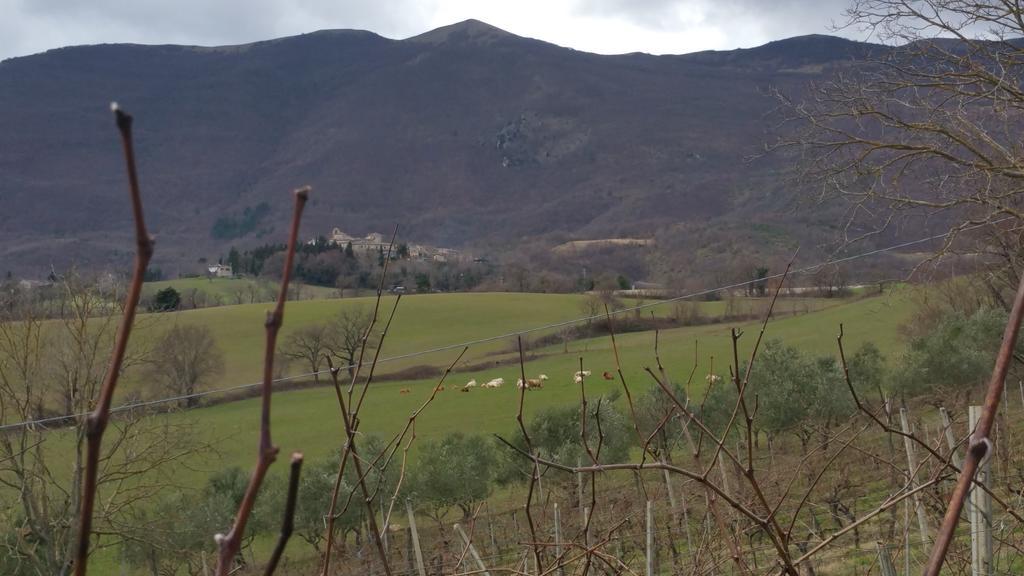 Pietra Maula Agriturismo 카스텔라이몬도 외부 사진