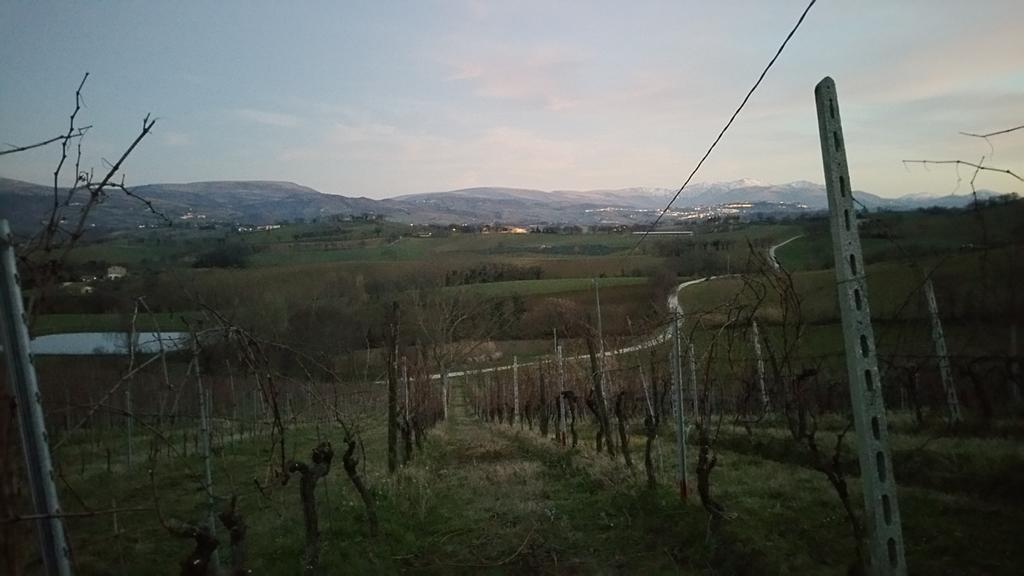 Pietra Maula Agriturismo 카스텔라이몬도 외부 사진