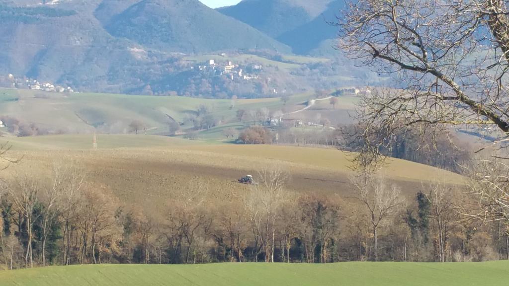 Pietra Maula Agriturismo 카스텔라이몬도 외부 사진