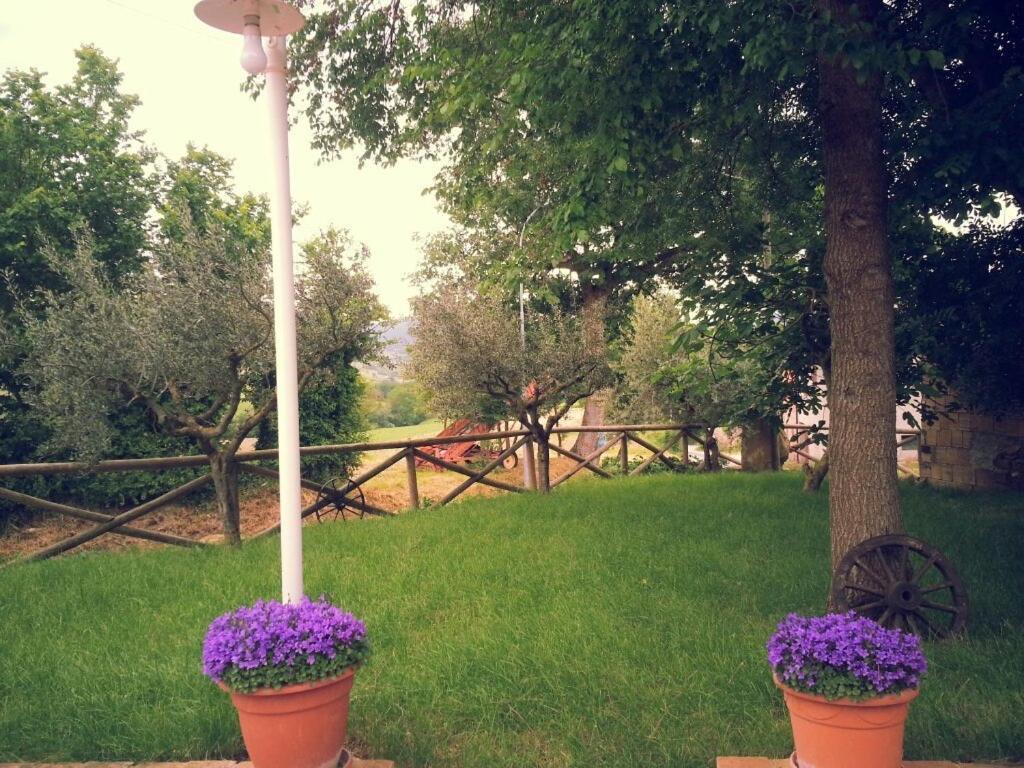 Pietra Maula Agriturismo 카스텔라이몬도 외부 사진