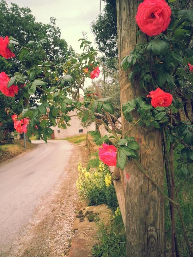 Pietra Maula Agriturismo 카스텔라이몬도 외부 사진
